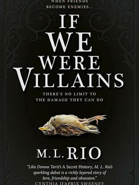 If We Were Villains
