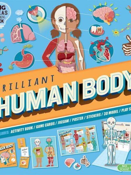Brilliant Human Body