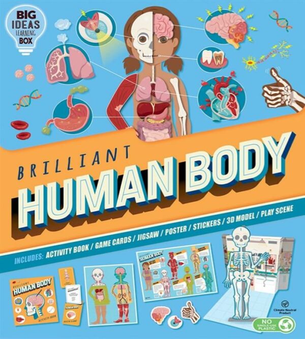 Brilliant Human Body