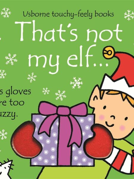 Usborne Touchy-feely books: That's not my elf