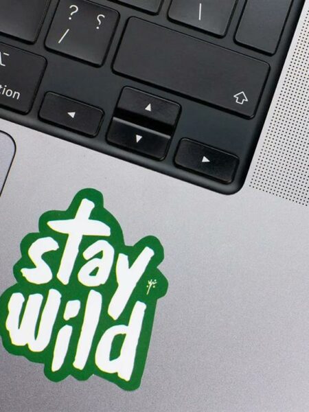 Stay wild Laptop Sticker