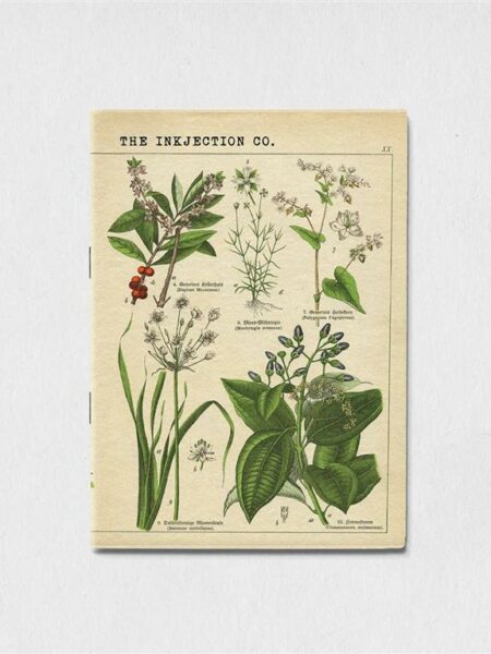 A5 Lined antique plant art 2