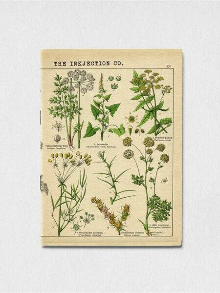 A5 Blank antique plant art 3