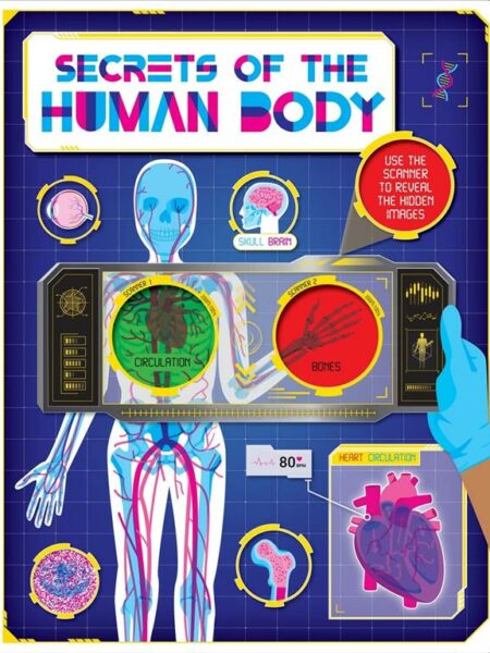 Secrets Of The Human Body
