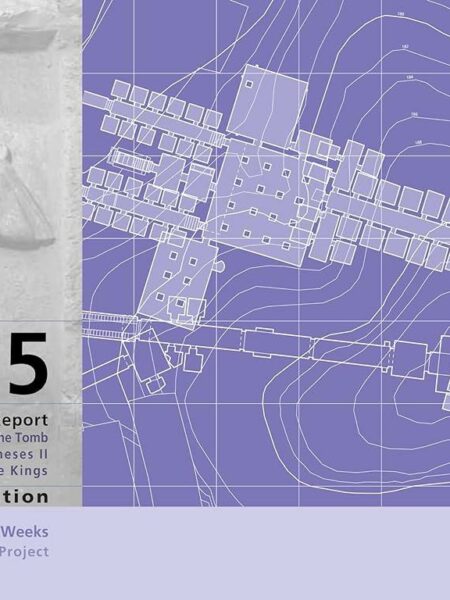 KV5: A Preliminary Report on the Excavation of the Tomb of t