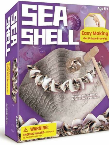 Sea Shell Dig & Make Bracelet Kit