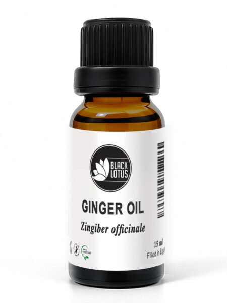Ginger Oil 15 ML