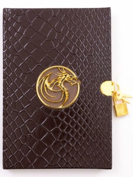 Diary: Bronze Dragon