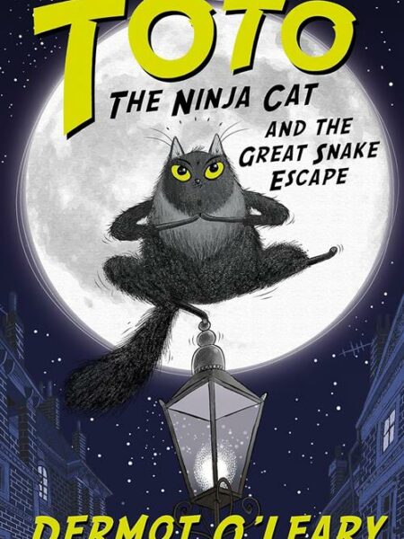 Toto the Ninja Cat 1: and the Great Snake Escape