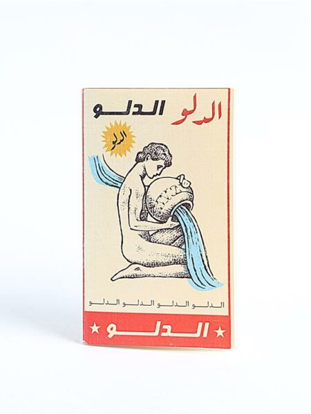Lined Aquarius Passport Size Notebook