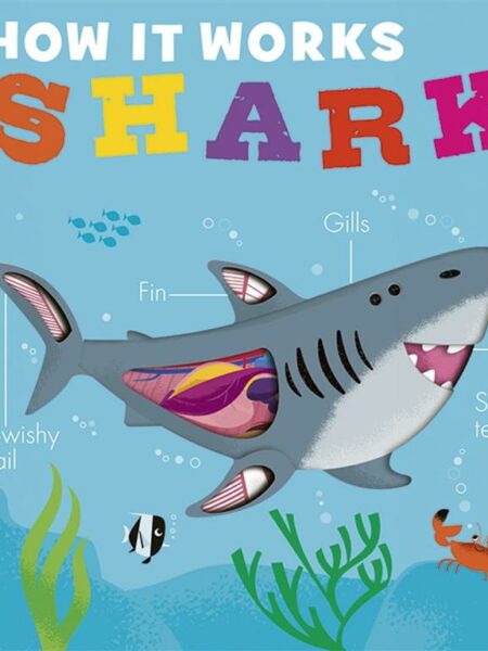 How it works: Shark