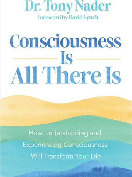 Consciousness Is All There Is: How Understanding and Experie