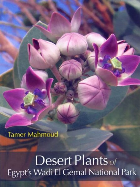 Desert Plants of Egypt's Wadi El Gemal National Park