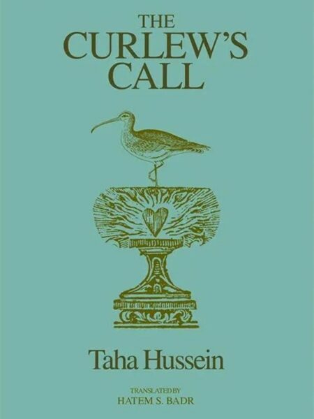The Curlew's call