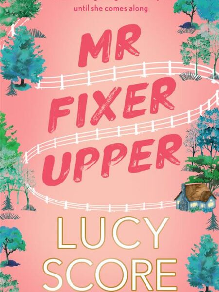 Mr Fixer Upper
