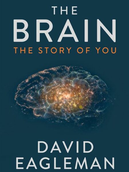 The Brain: The Story of You