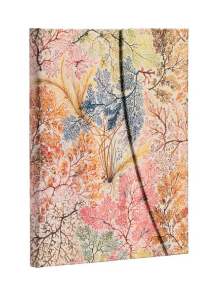 Anemone Lined Hardcover Journal