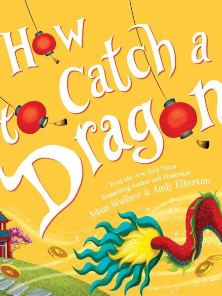How to Catch: a Dragon