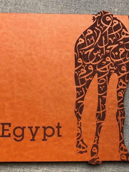 Camel Leather Coaster