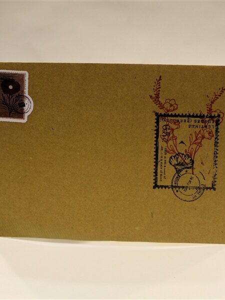 Craft Brown 1 TSL Originals Vintage Envelopes