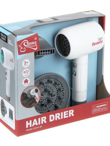 Hair Drier (F2313)
