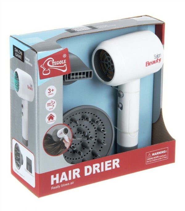 Hair Drier (F2313)