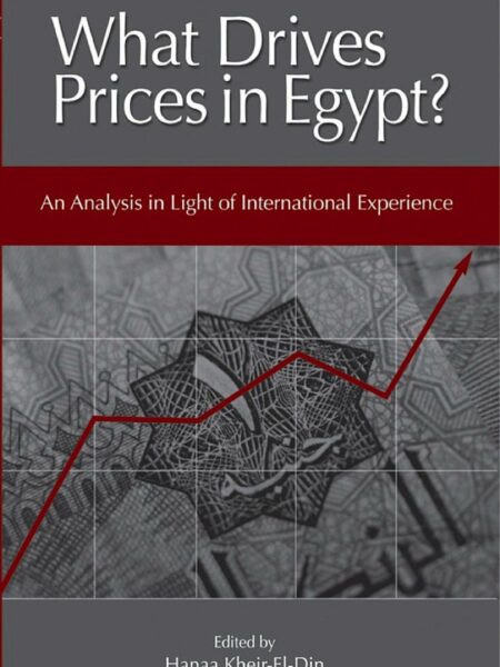 What Drives prices in Egypt?