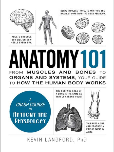 Anatomy 101: From Muscles and Bones to Organs and Systems, Y