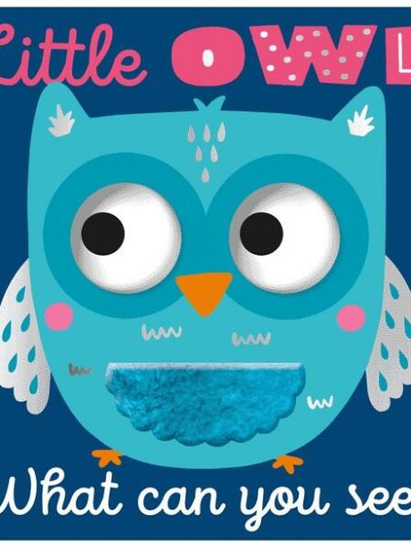 Little Owl What Can You See?