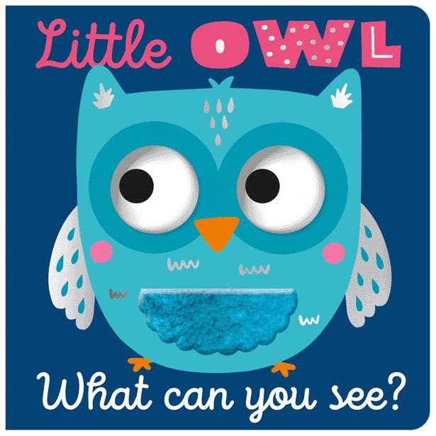 Little Owl What Can You See?