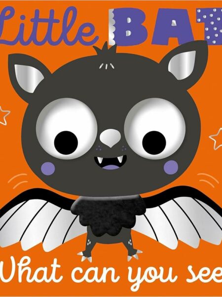 Little Bat What Can You See?