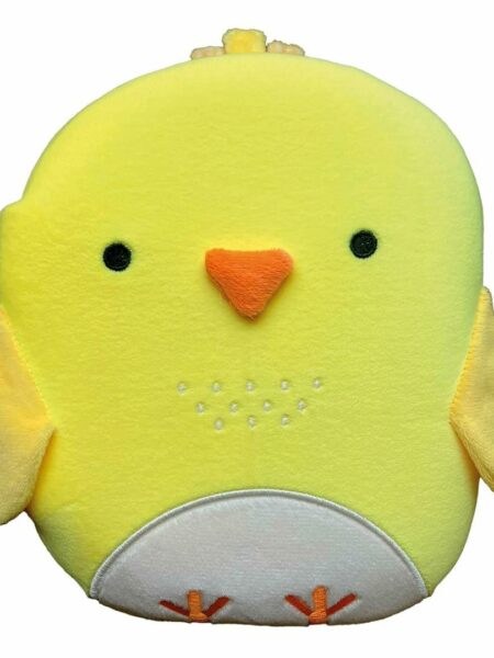 Squish and Snugg: Noisy Chick