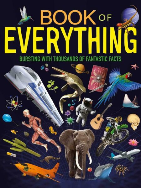 Book of Everything: Bursting with Thousands of Fantastic Fac