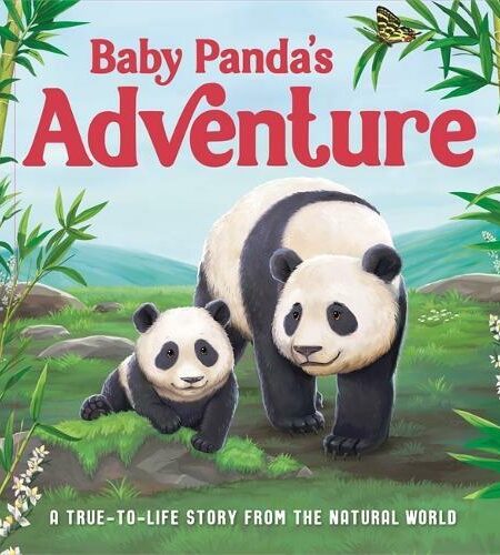 Baby Panda's Adventure