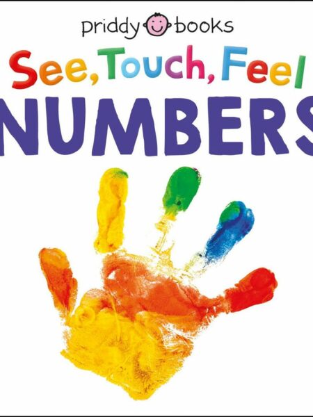 See, Touch, Feel: Numbers