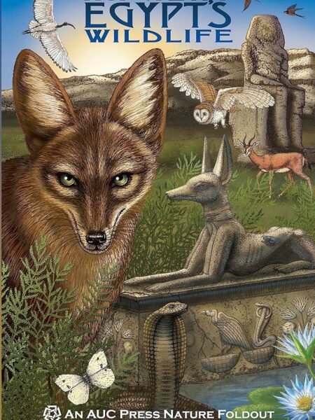 Ancient Egypt's Wildlife: An AUC Press Nature Foldout