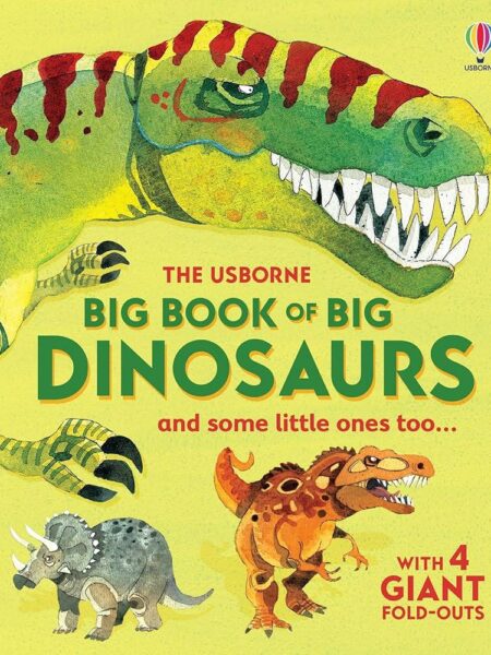Big Book of Big Dinosaurs: and Some Little Ones too...