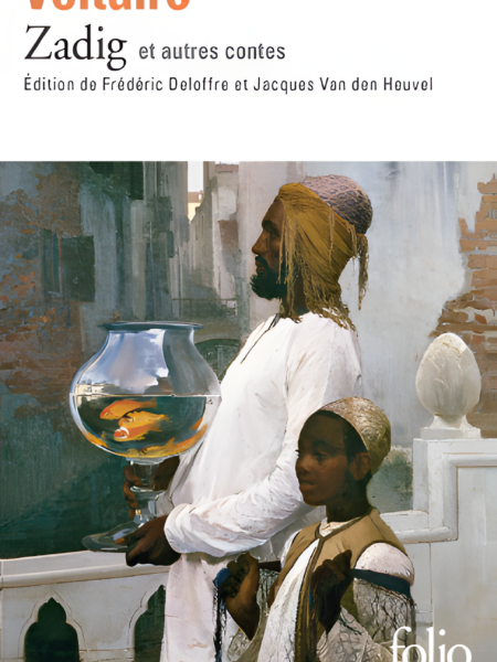 Zadig et autres contes