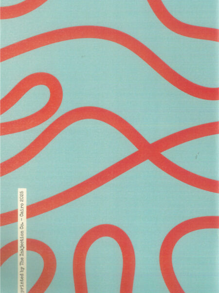 Orange In Baby Blue Design A5 Notebook