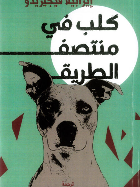 كلب في منتصف الطريق